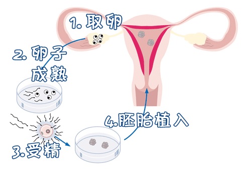 万级层流胚胎实验室